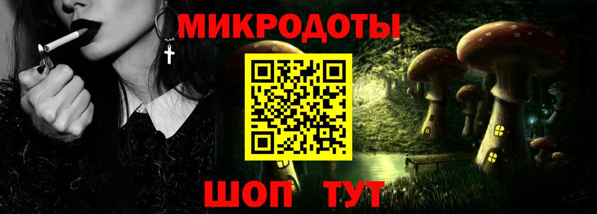 Галлюциногенные грибы Psilocybe Нефтекамск